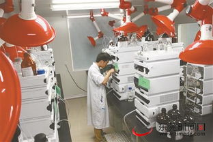 東莞 新型研發(fā)機構(gòu)留才用才有妙招