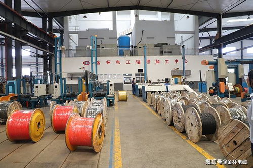 電線電纜可以用幾年 如何延長(zhǎng)使用壽命